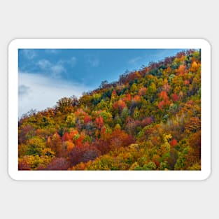 Colorful autumnal landscape Sticker